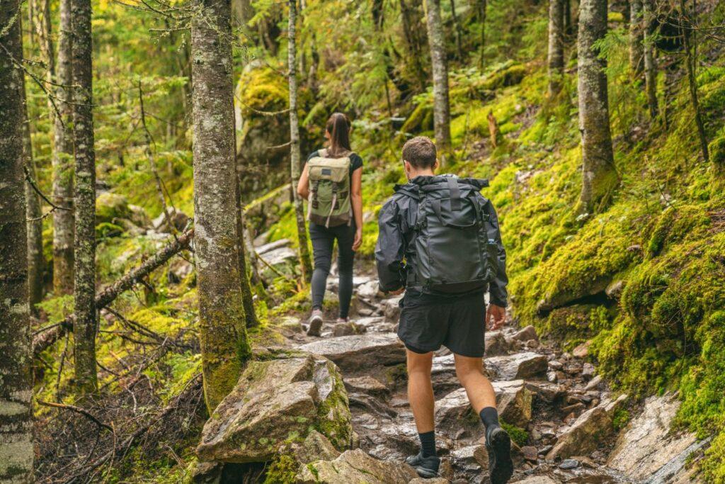 Zwei Urlauber wandern auf einem moosigen Waldweg in der Naehe vom Hotel Kleinarl – ideal fuer kurze Auszeiten mit Naturerlebnis